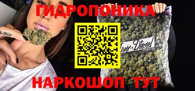 круглые Лесосибирск