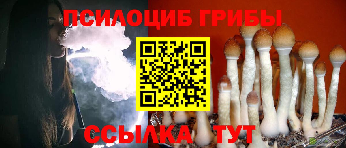Псилоцибиновые грибы Magic Shrooms Югорск